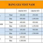 Bảng giá thuê vest nam TPHCM, Mẫu vest nam mới 2021