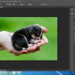 Các cách tách nền cơ bản trong photoshop