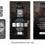 3 cách phân biệt áo thun ADLV auth với fake và nơi bán uy tín