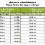 Size Áo Lót 36/80 Là Gì? Áo Ngực Size 36 Là To Hay Nhỏ
