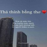 STT Về Màu Tím Vui Thả Thính, Những Câu Nói Tím Thủy Chung