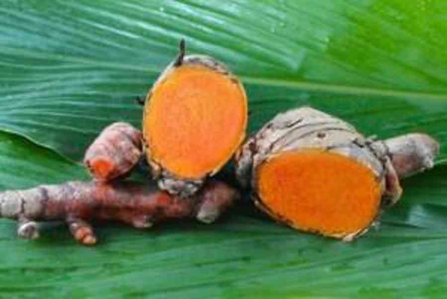 Cách tẩy vết màu nghệ trên quần áo | Cleanipedia