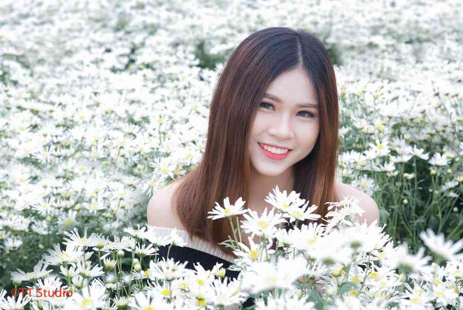 Chụp ảnh với cúc hoạ mi