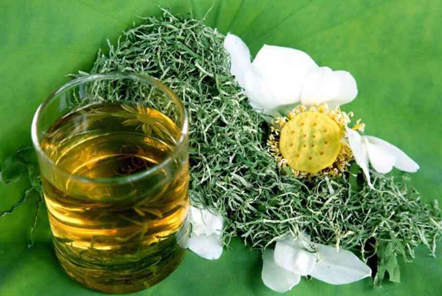 Giảm Mỡ Bụng Bằng Lá Sen Khô Có Thật Sự Tốt Cho Sức Khỏe