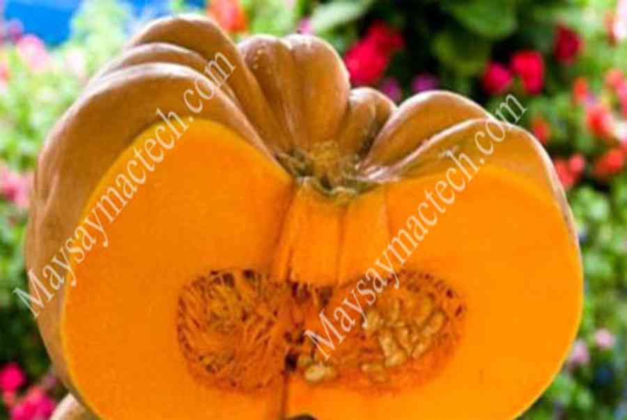 Bí đỏ sấy khô, một loại thực phẩm rất cần thiết trong gia đình