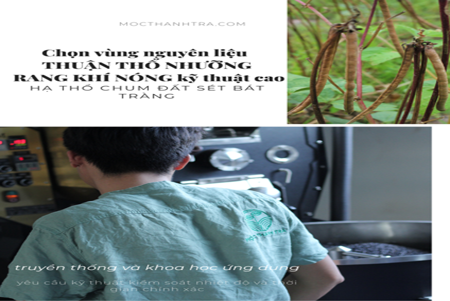 Cách Rang Đậu Đen Xanh Lòng tại nhà