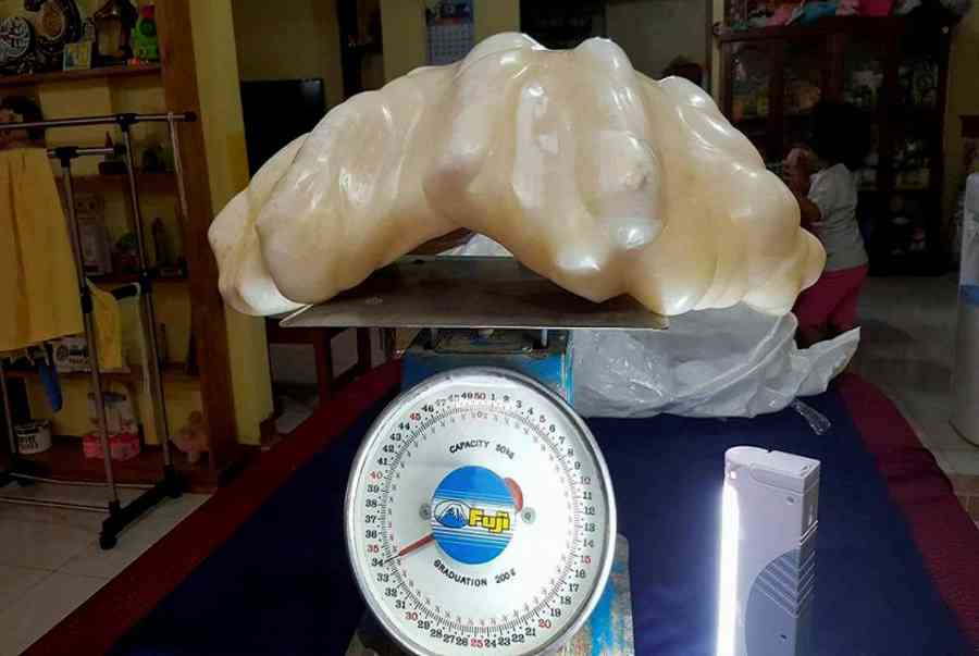 Ngọc Trai Hình Thành Như Thế Nào?