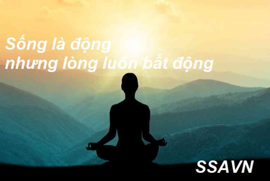Ý Nghĩa Câu Tâm Bất Biến Giữa Dòng Đời Vạn Biến Là Gì ? Tâm Bất Biến Giữa Dòng Đời Vạn Biến