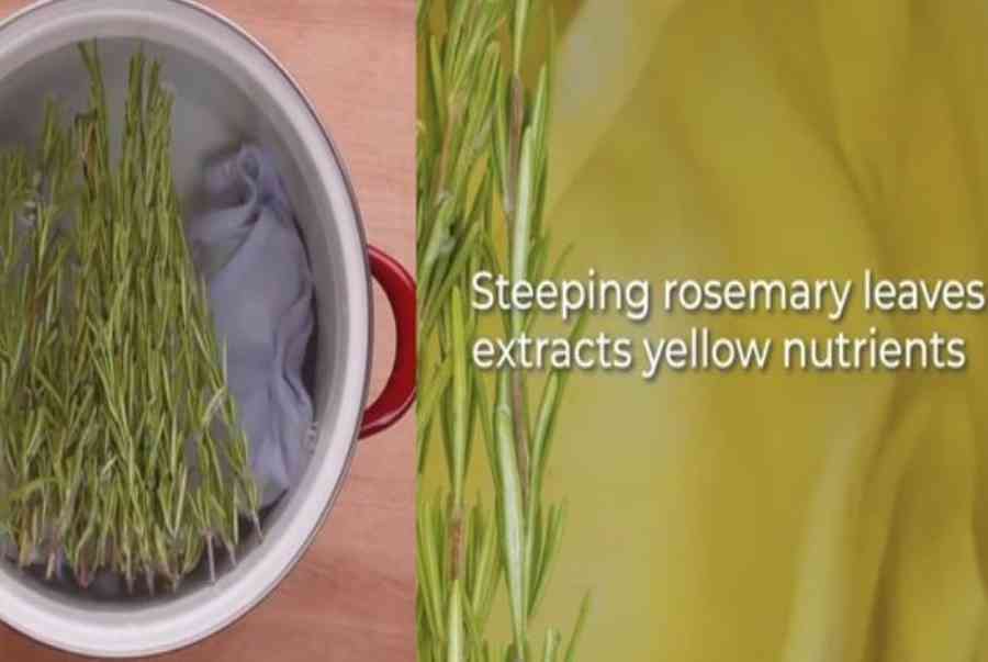 Nhuộm quần áo bằng lá cây với 5+ cách đơn giản – nhanh chóng
