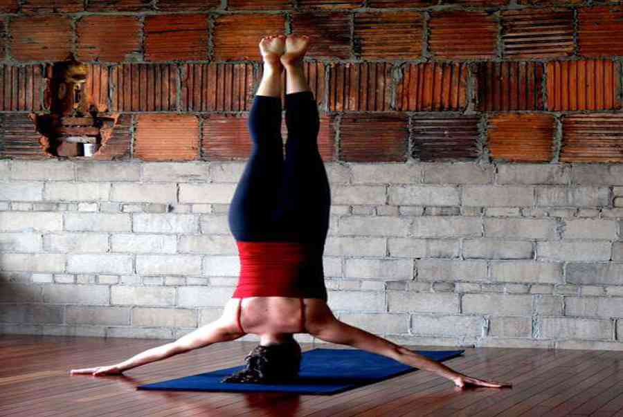 Các tư thế yoga đẹp giúp bạn có động lực tập luyện mỗi ngày