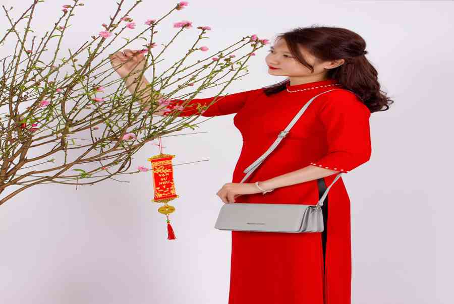 Mặc Áo Dài Mang Túi Xách Gì Cho Sang Trọng, 4 Cách Phối Áo Dài